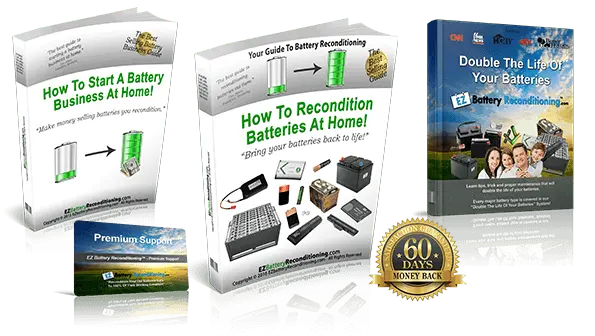 Order EZ Battery Reconditioning digital program today 90 percent off
